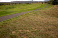 Golfers-11